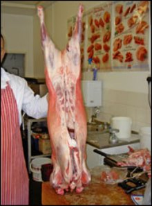 carcase