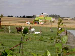 combining