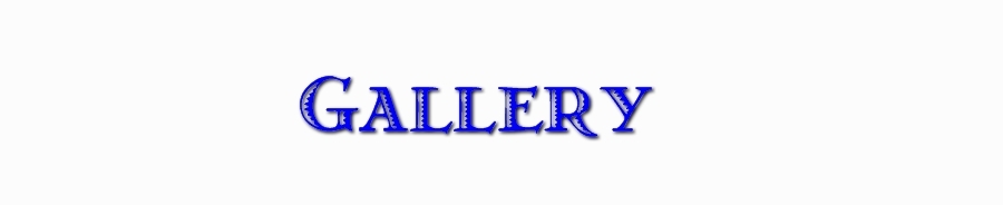 gallerybanner